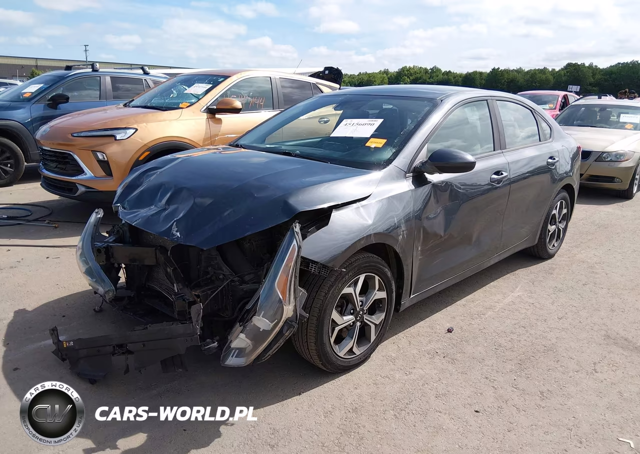 2019 Kia Forte Lxs VIN:3KPF24AD8KE008371 - 2