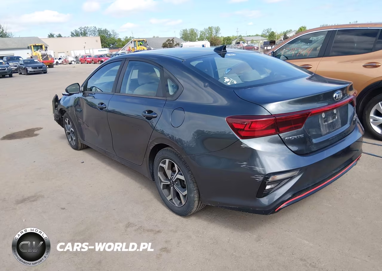 2019 Kia Forte Lxs VIN:3KPF24AD8KE008371 - 3