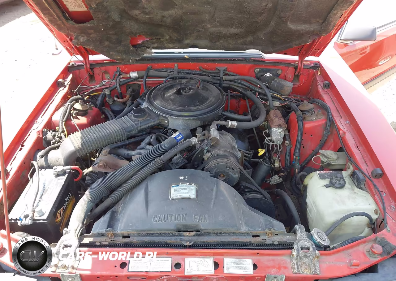 1986 Mercury Capri VIN:1MEBP7931GF602793 - 10