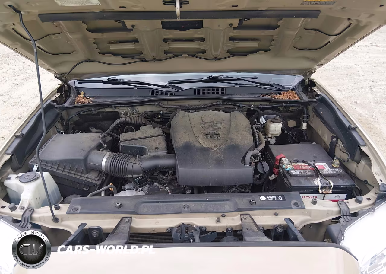 2019 Toyota Tacoma Trd Sport VIN:3TMAZ5CN5KM108452 - 10