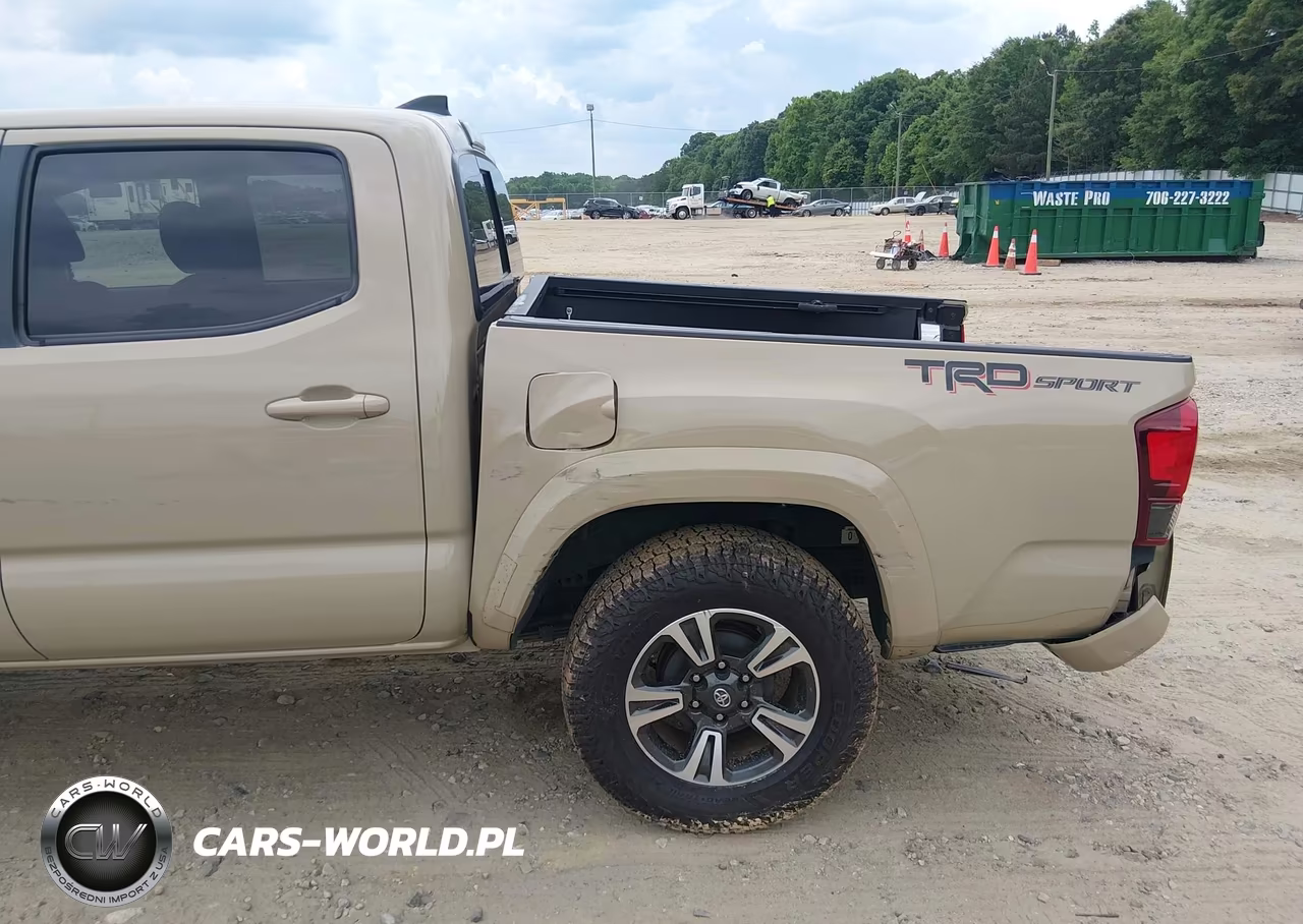 2019 Toyota Tacoma Trd Sport VIN:3TMAZ5CN5KM108452 - 18