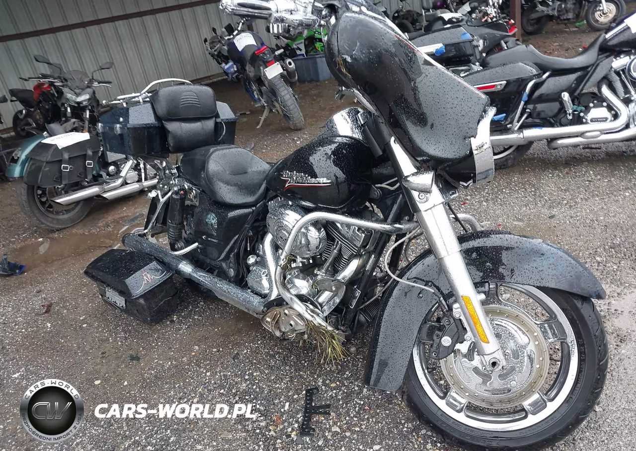 2009 Harley-Davidson Flhx