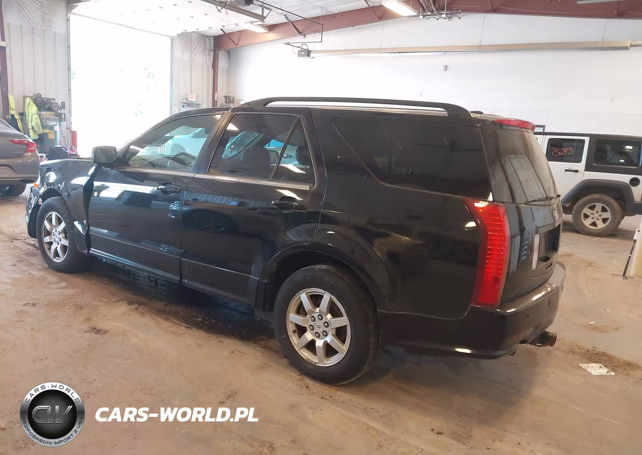2009 Cadillac Srx V6 VIN:1GYEE437390104741 - 3