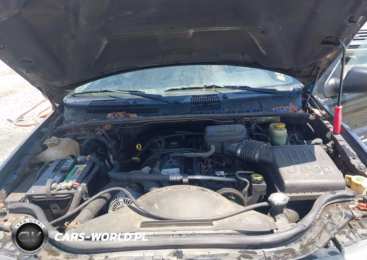 2004 Jeep Grand Cherokee Laredo VIN:1J4GW48S64C392278 - 10
