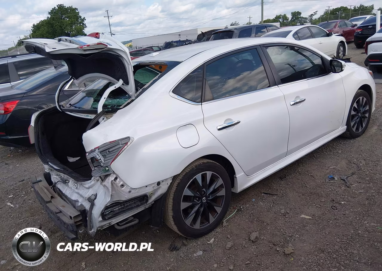 2017 Nissan Sentra Sr Turbo VIN:3N1CB7AP7HY300425 - 4