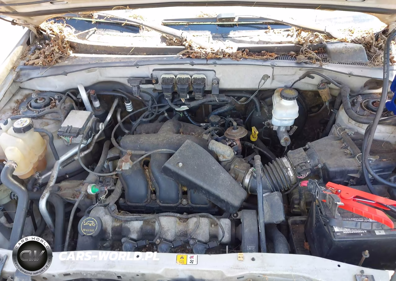 2006 Ford Escape Xlt-Xlt Sport VIN:1FMYU93186KA42098 - 10