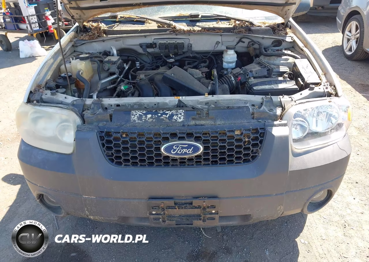 2006 Ford Escape Xlt-Xlt Sport VIN:1FMYU93186KA42098 - 6