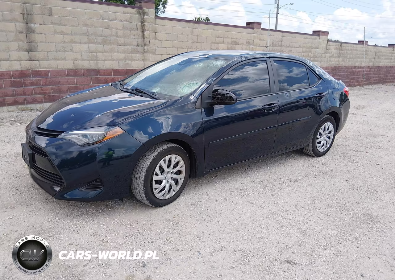 2019 Toyota Corolla Le VIN:5YFBURHE6KP918765 - 2
