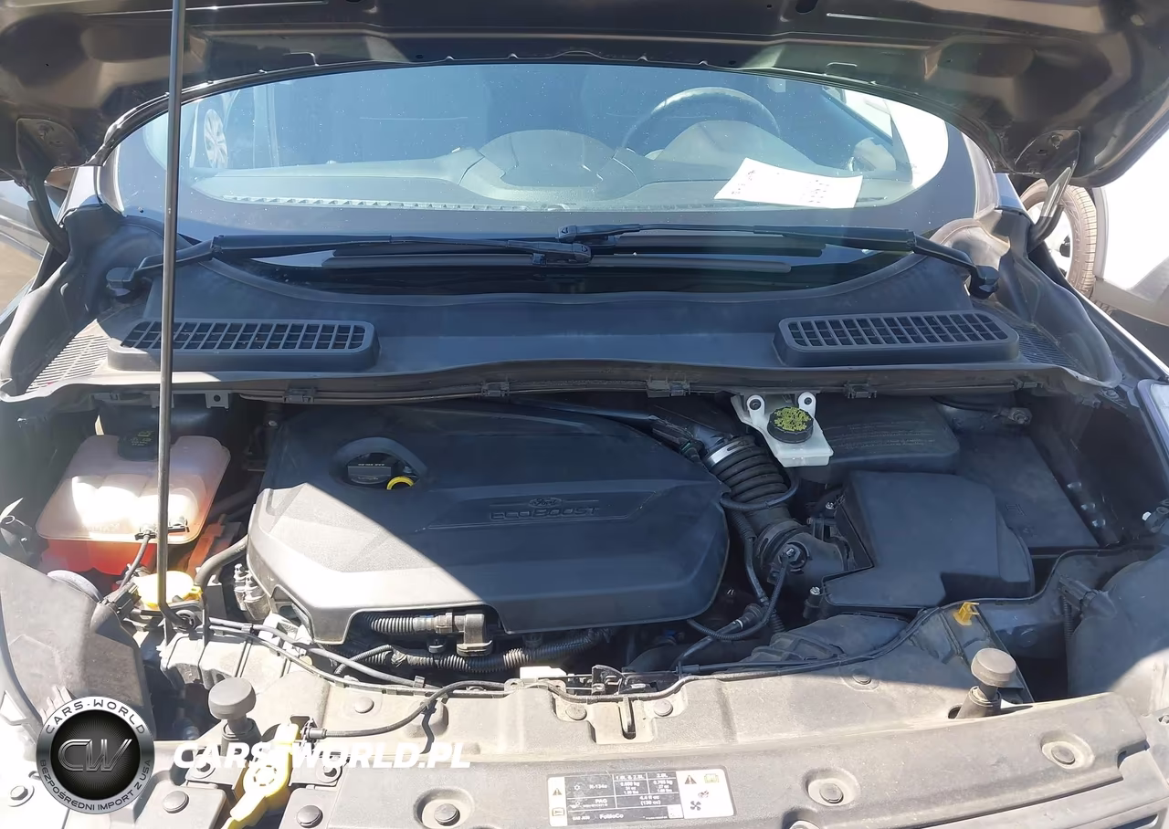 2015 Ford Escape Se VIN:1FMCU0GX6FUA68112 - 10