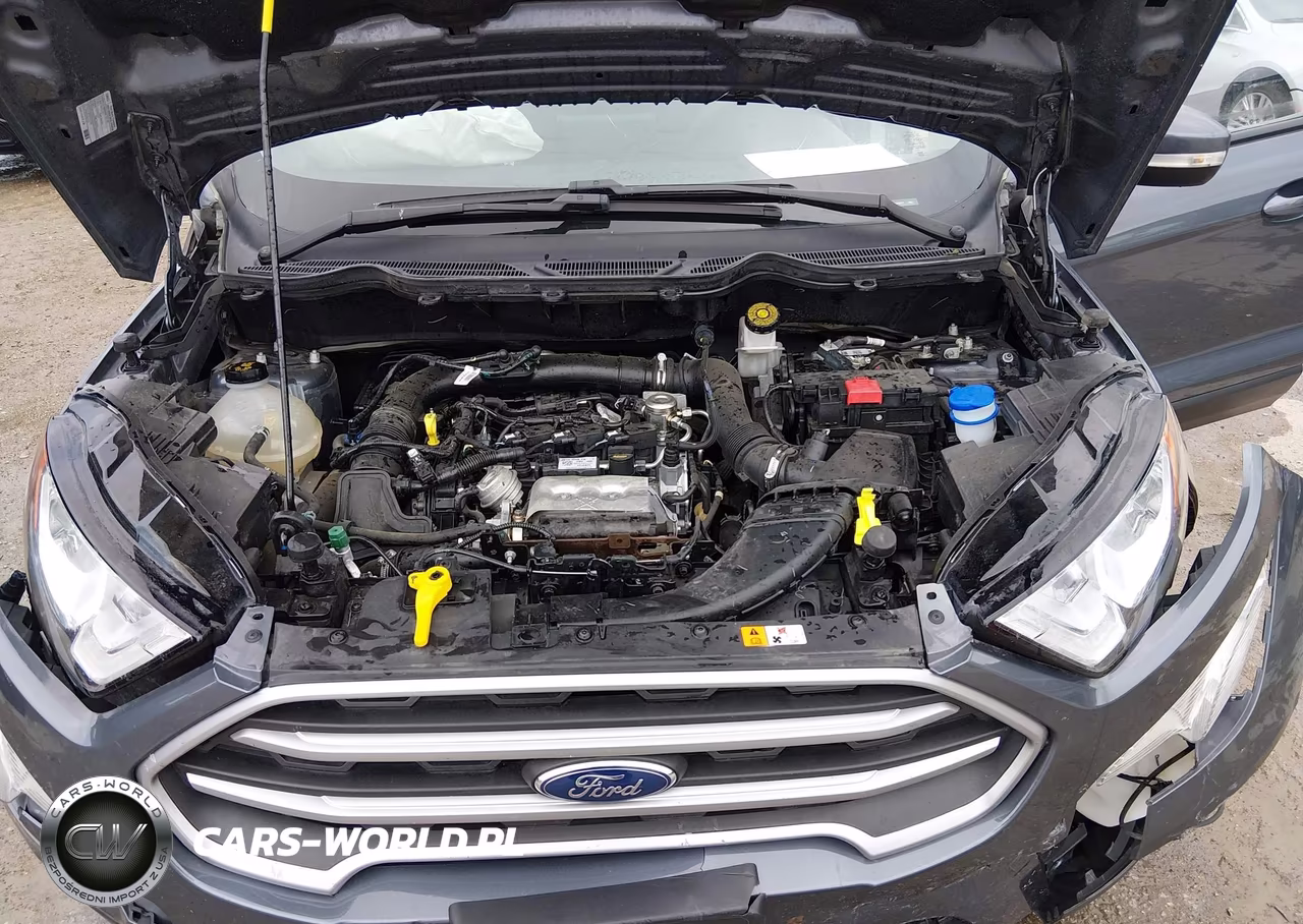 2021 Ford Ecosport Se VIN:MAJ3S2GE8MC431877 - 10