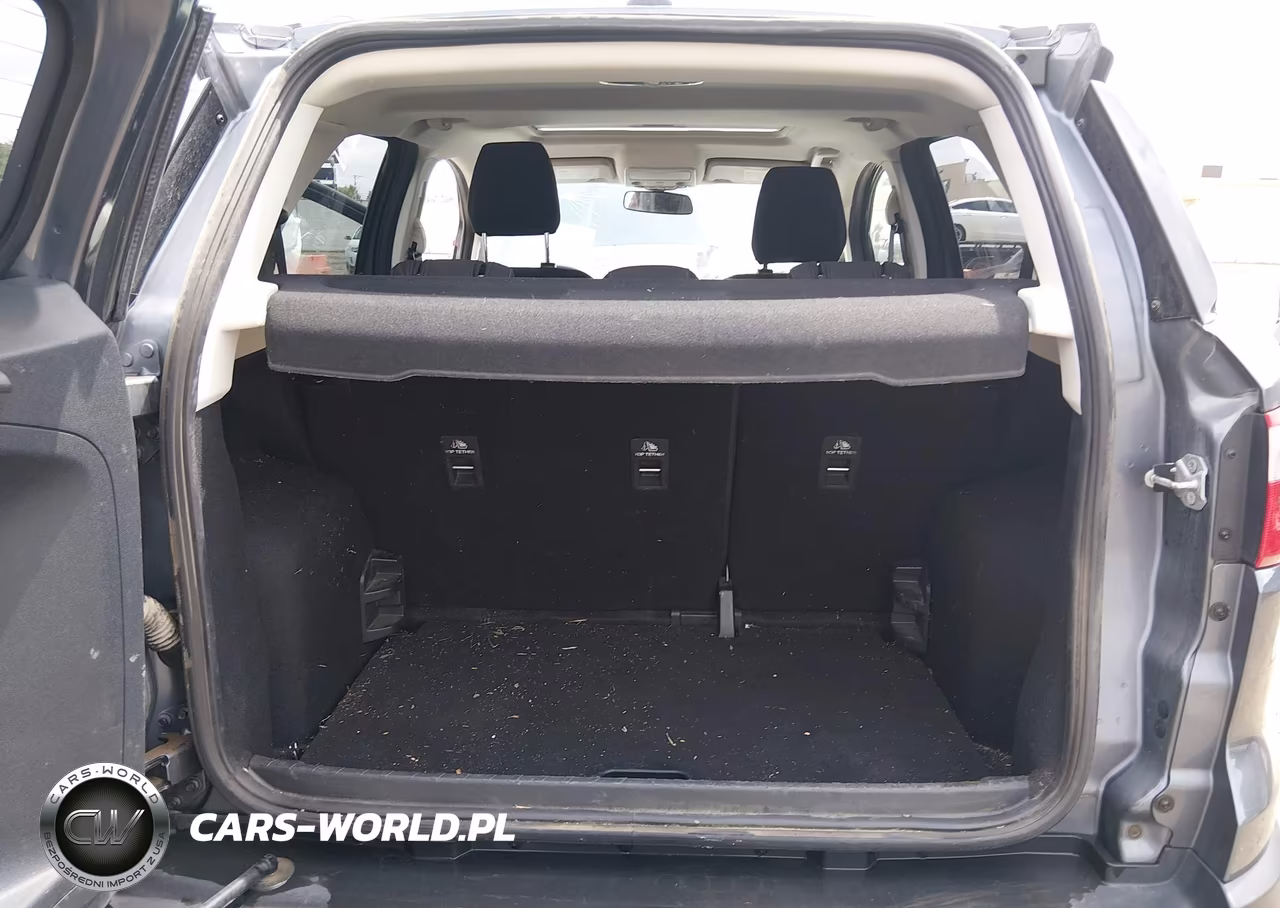 2021 Ford Ecosport Se VIN:MAJ3S2GE8MC431877 - 16