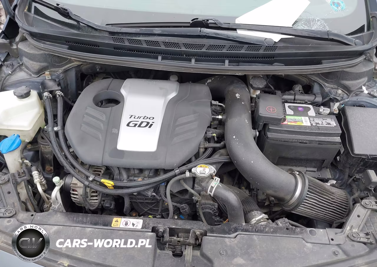 2015 Kia Forte Sx VIN:KNAFZ5A39F5313949 - 10
