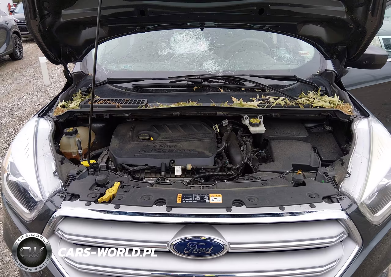 2018 Ford Escape Sel VIN:1FMCU9HD9JUA67117 - 10
