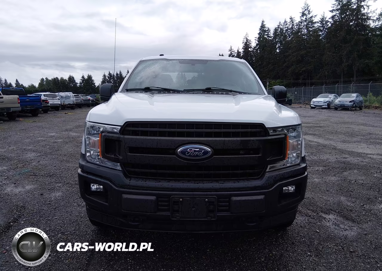 2018 Ford F-150 Xl VIN:1FTEW1EBXJFD05086 - 12