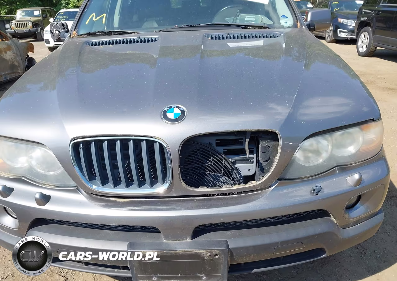 2004 BMW X5 3.0I VIN:5UXFA13564LU23141 - 6