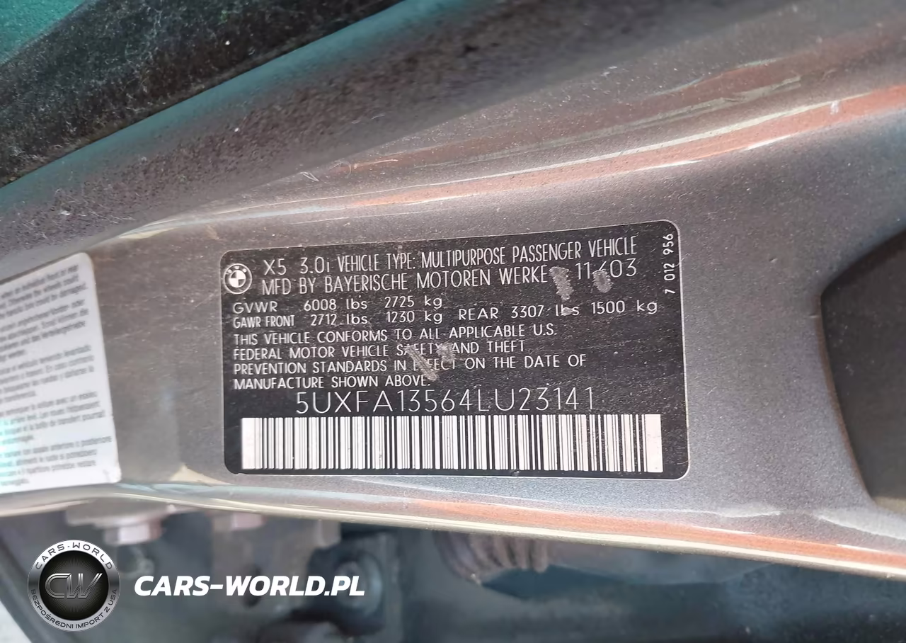 2004 BMW X5 3.0I VIN:5UXFA13564LU23141 - 9