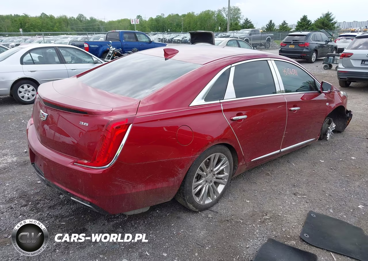 2019 Cadillac Xts Luxury VIN:2G61M5S39K9119187 - 4