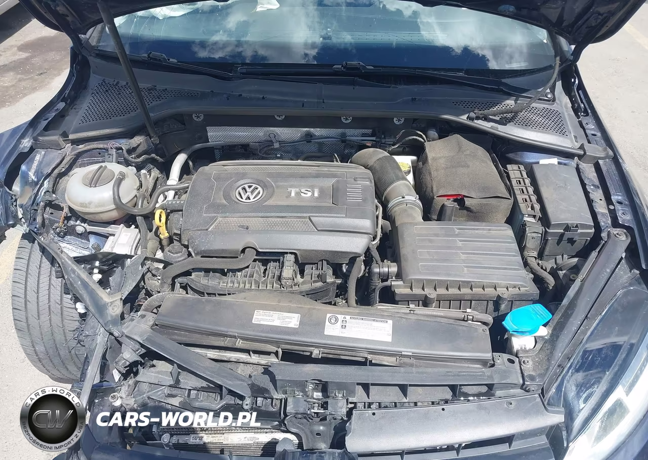 2017 Volkswagen Golf VIN:3VW217AU6HM020064 - 10