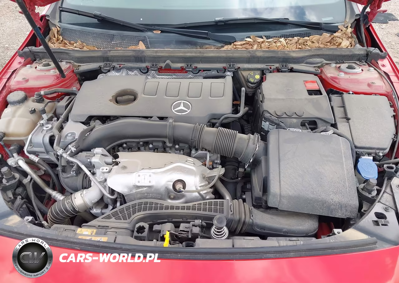 2019 Mercedes-Benz A 220 VIN:WDD3G4EB9KW024412 - 10