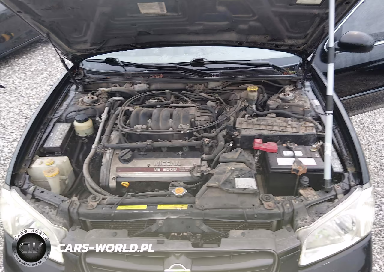 2000 Nissan Maxima Gle-Gxe-Se VIN:JN1CA31D0YT707285 - 10