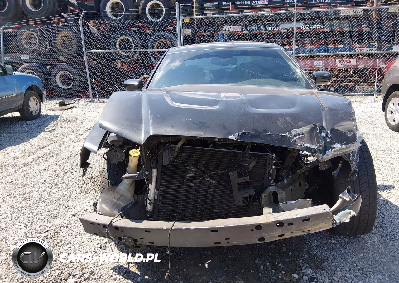 2013 Dodge Charger R-T Max VIN:2C3CDXCT2DH652432 - 6