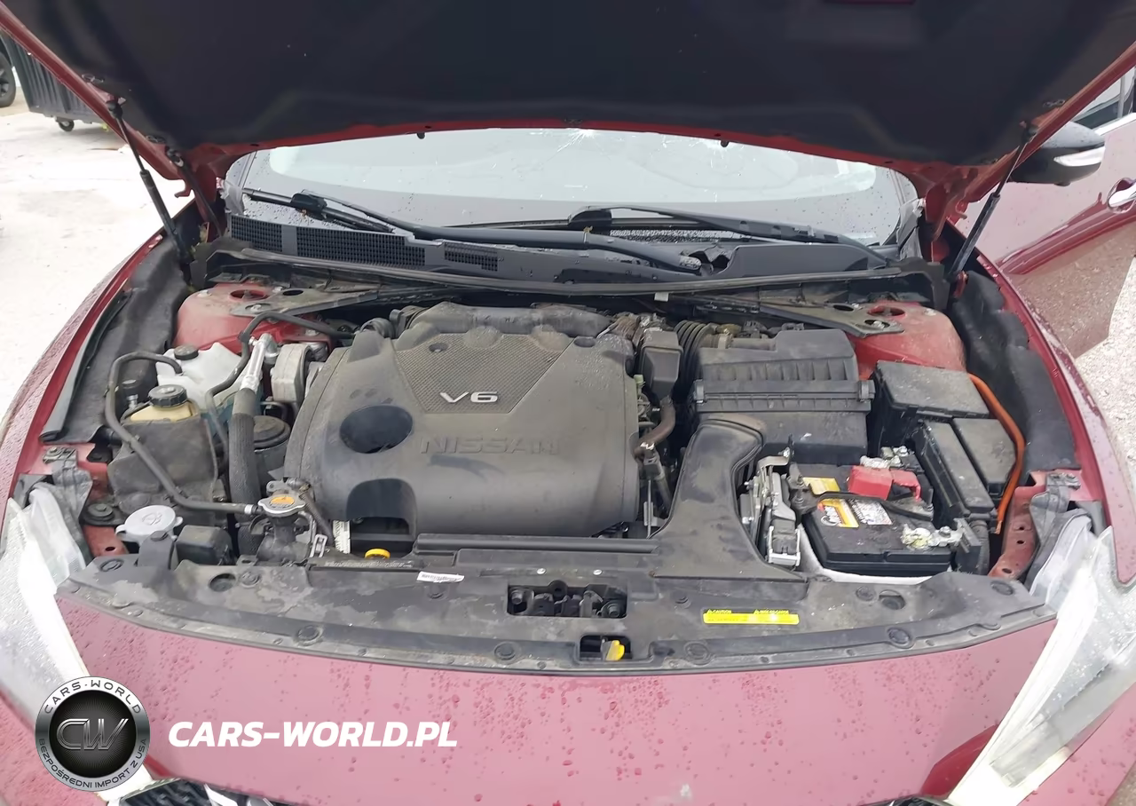 2017 Nissan Maxima 3.5 Platinum VIN:1N4AA6AP0HC435956 - 10