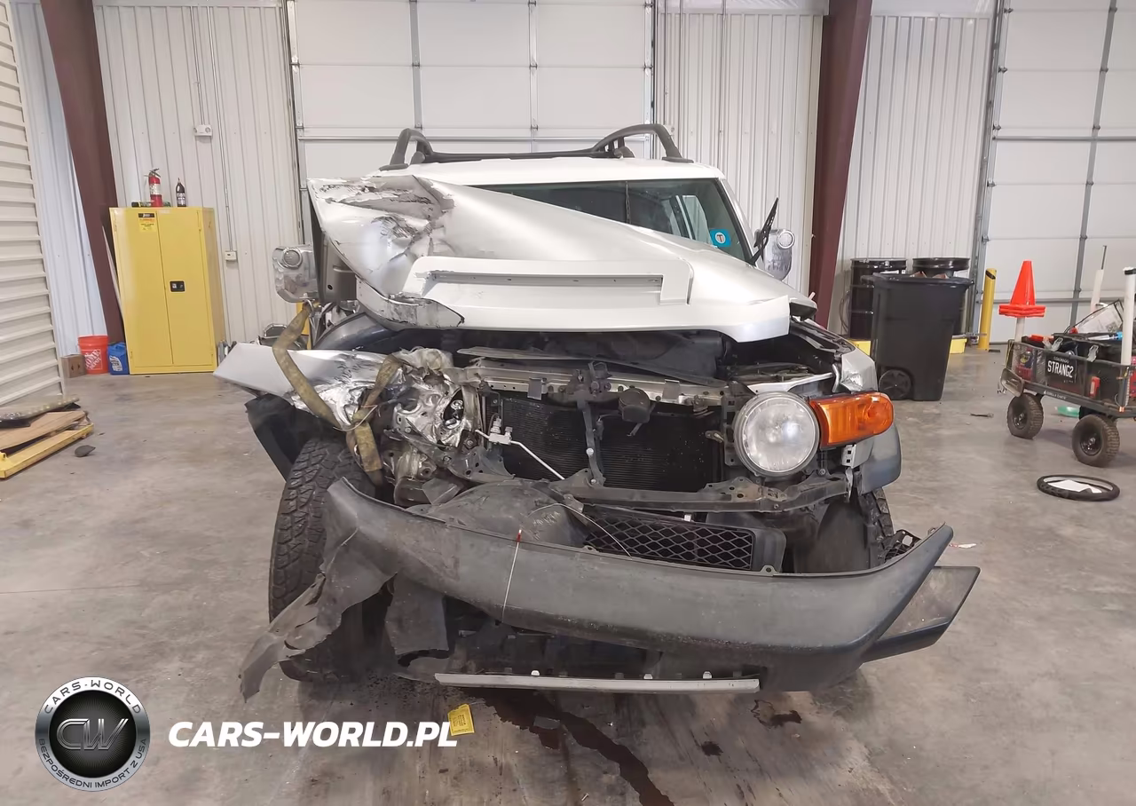 2007 Toyota Fj Cruiser VIN:JTEZU11F070016225 - 6