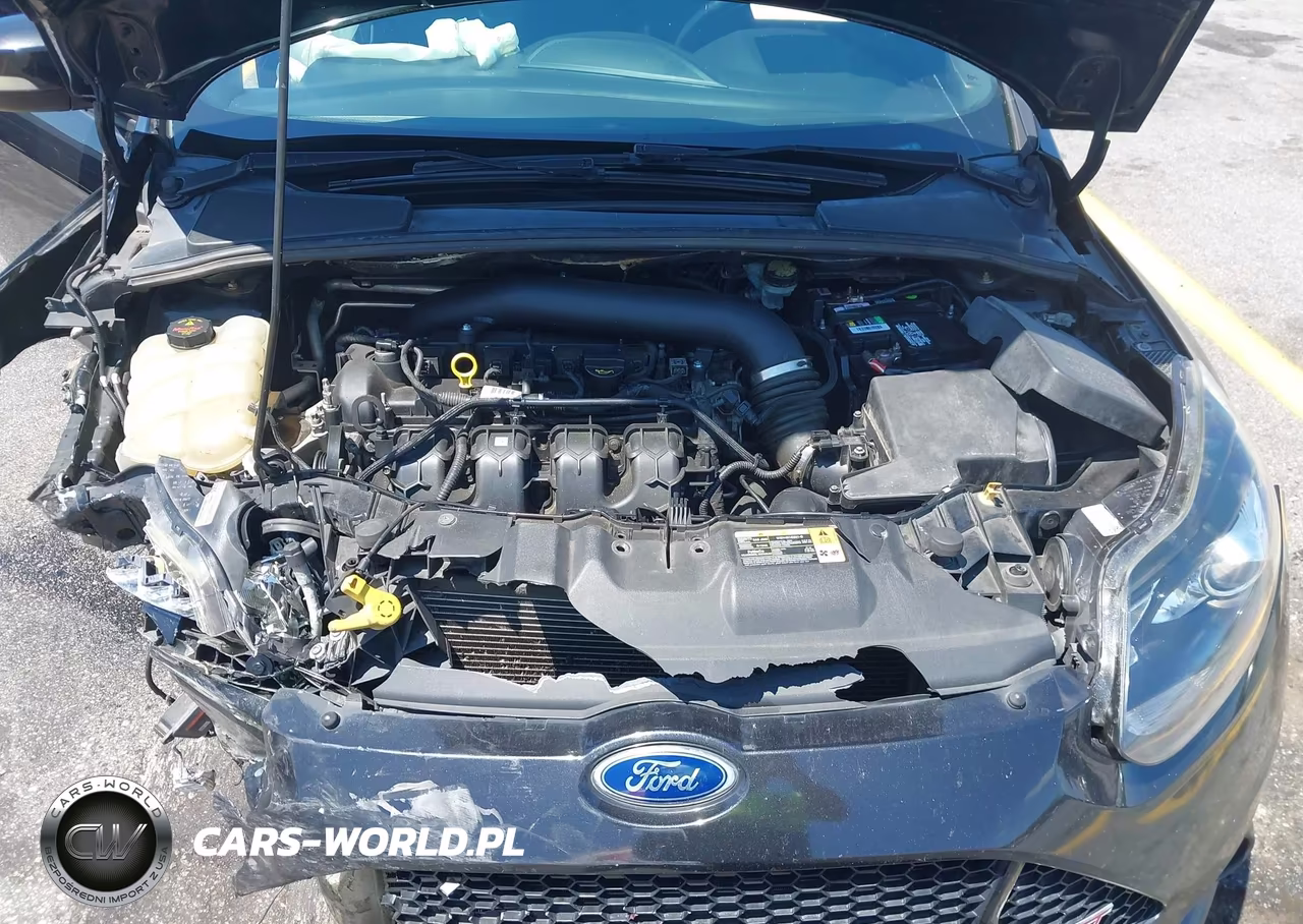 2014 Ford Focus St VIN:1FADP3L96EL236706 - 10