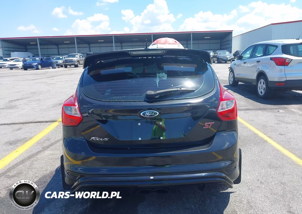2014 Ford Focus St VIN:1FADP3L96EL236706 - 17