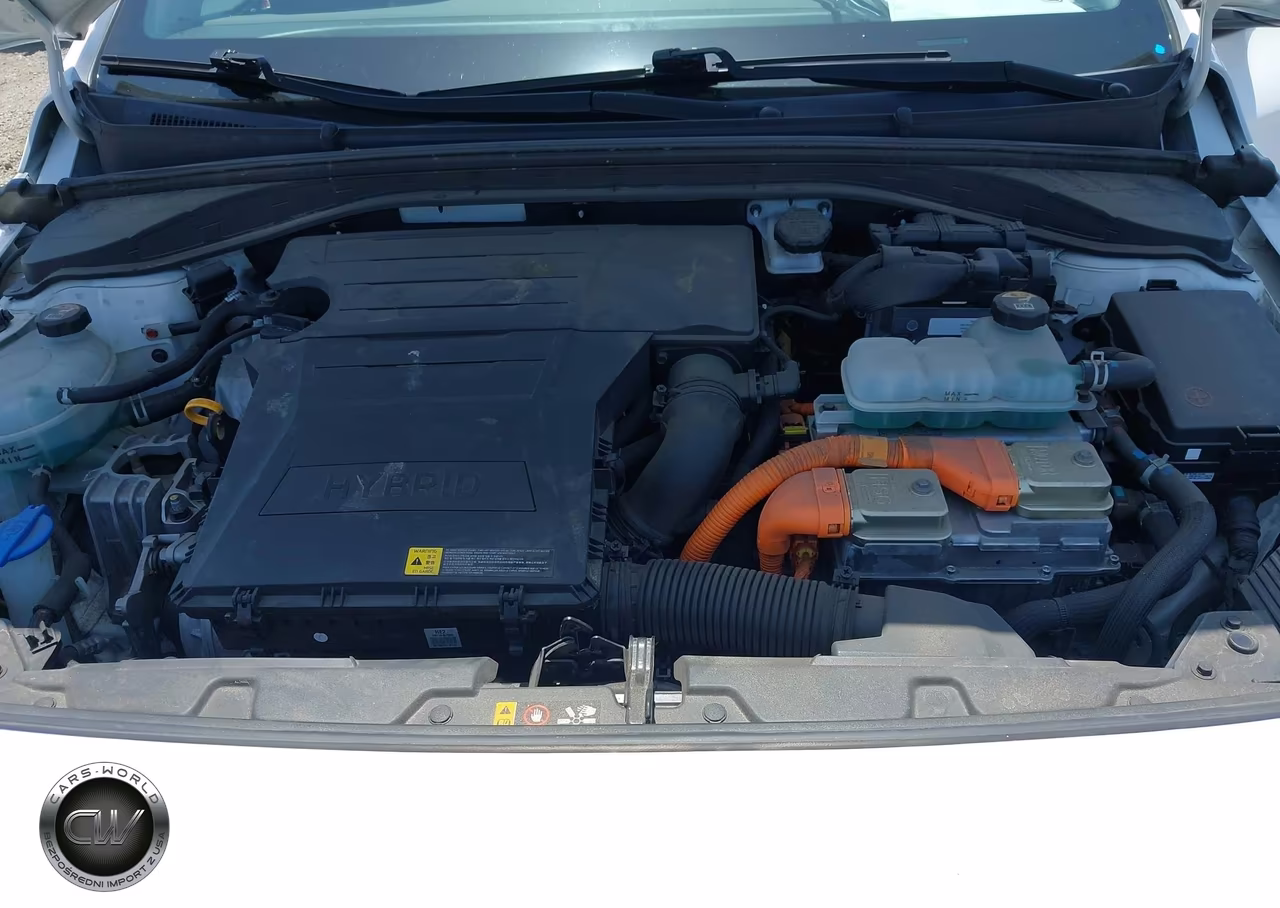 2019 Hyundai Ioniq Hybrid Blue VIN:KMHC65LC2KU107671 - 10