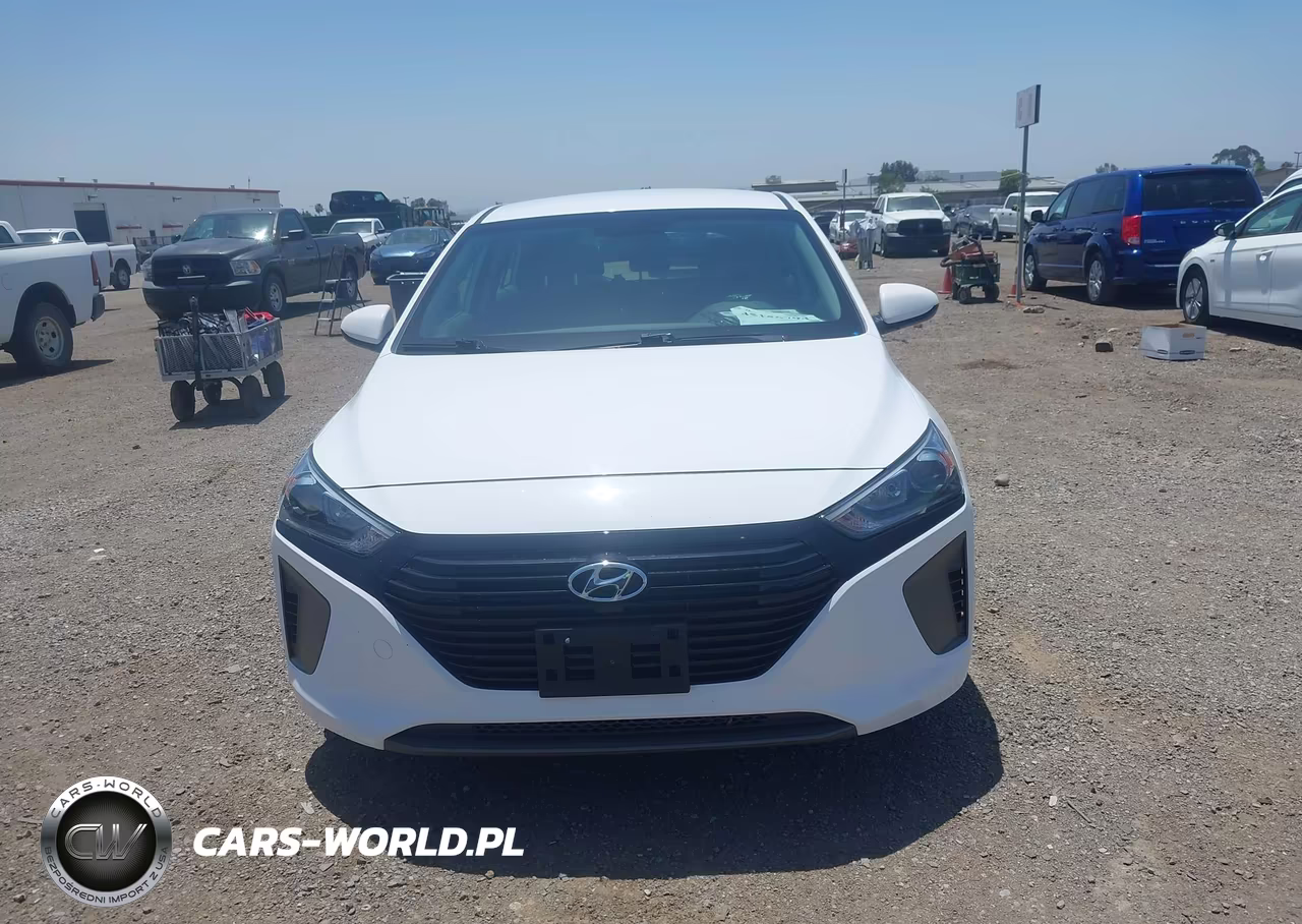 2019 Hyundai Ioniq Hybrid Blue VIN:KMHC65LC2KU107671 - 16