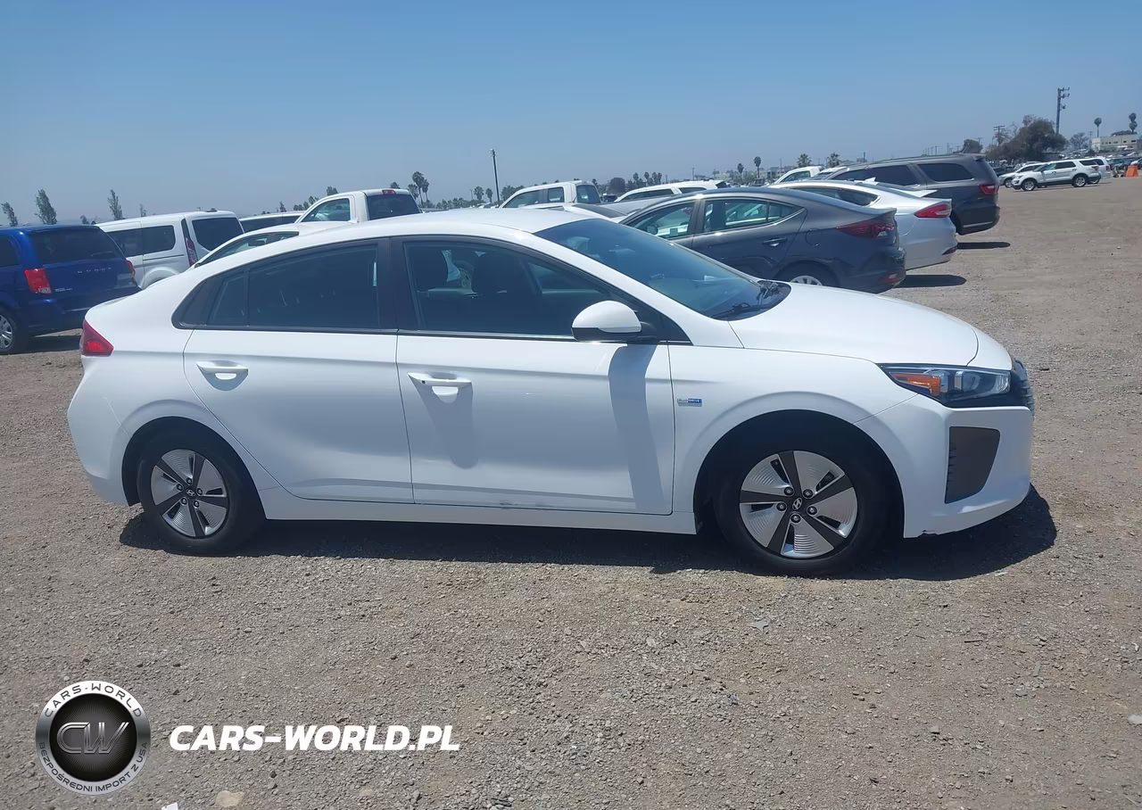 2019 Hyundai Ioniq Hybrid Blue VIN:KMHC65LC2KU107671 - 17