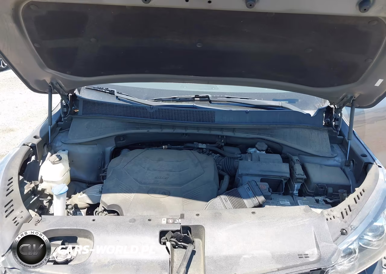 2019 Kia Sorento 3.3L Ex VIN:5XYPH4A54KG536214 - 10