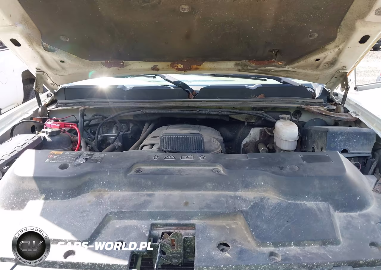 2013 Chevrolet Silverado 2500Hd Work Truck VIN:1GC2KVCG9DZ230632 - 10