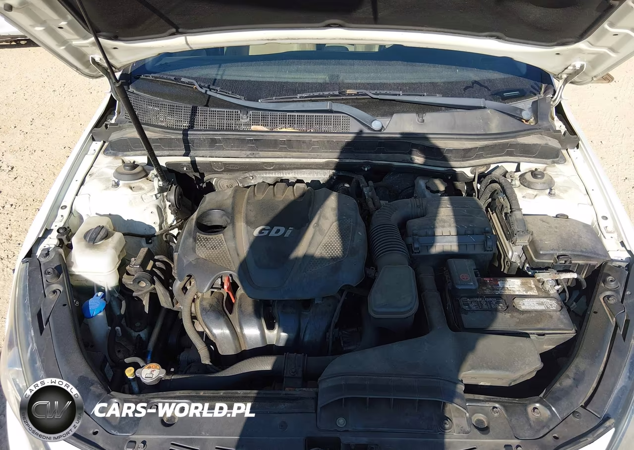 2013 Kia Optima Lx VIN:KNAGM4A73D5354705 - 10