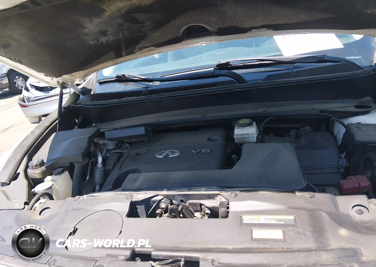 2016 Infiniti Qx60 VIN:5N1AL0MM5GC515430 - 10
