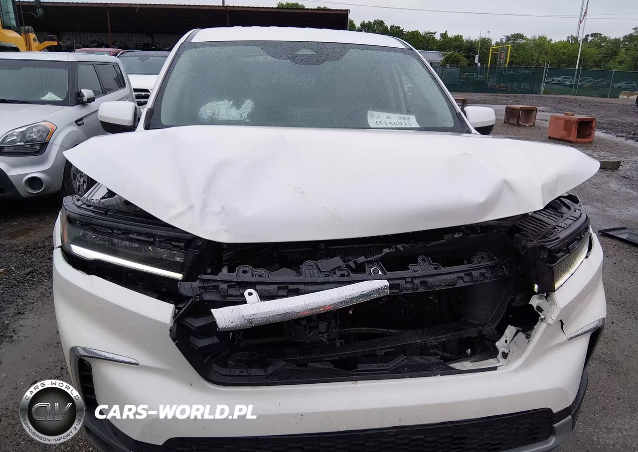 2025 Honda Pilot Ex-L VIN:5FNYG1H45SB138973 - 12