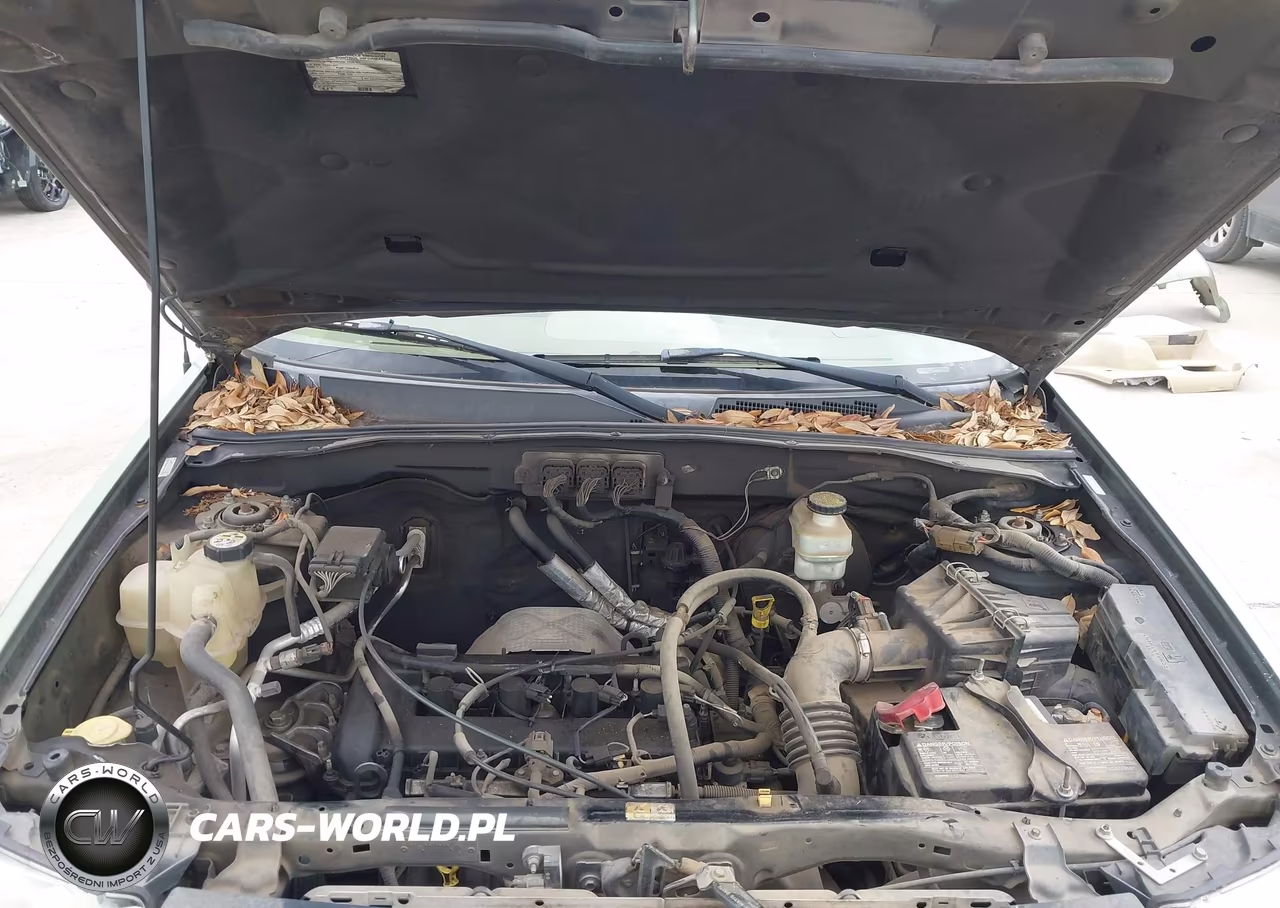 2008 Ford Escape Xlt VIN:1FMCU03Z98KB91263 - 10