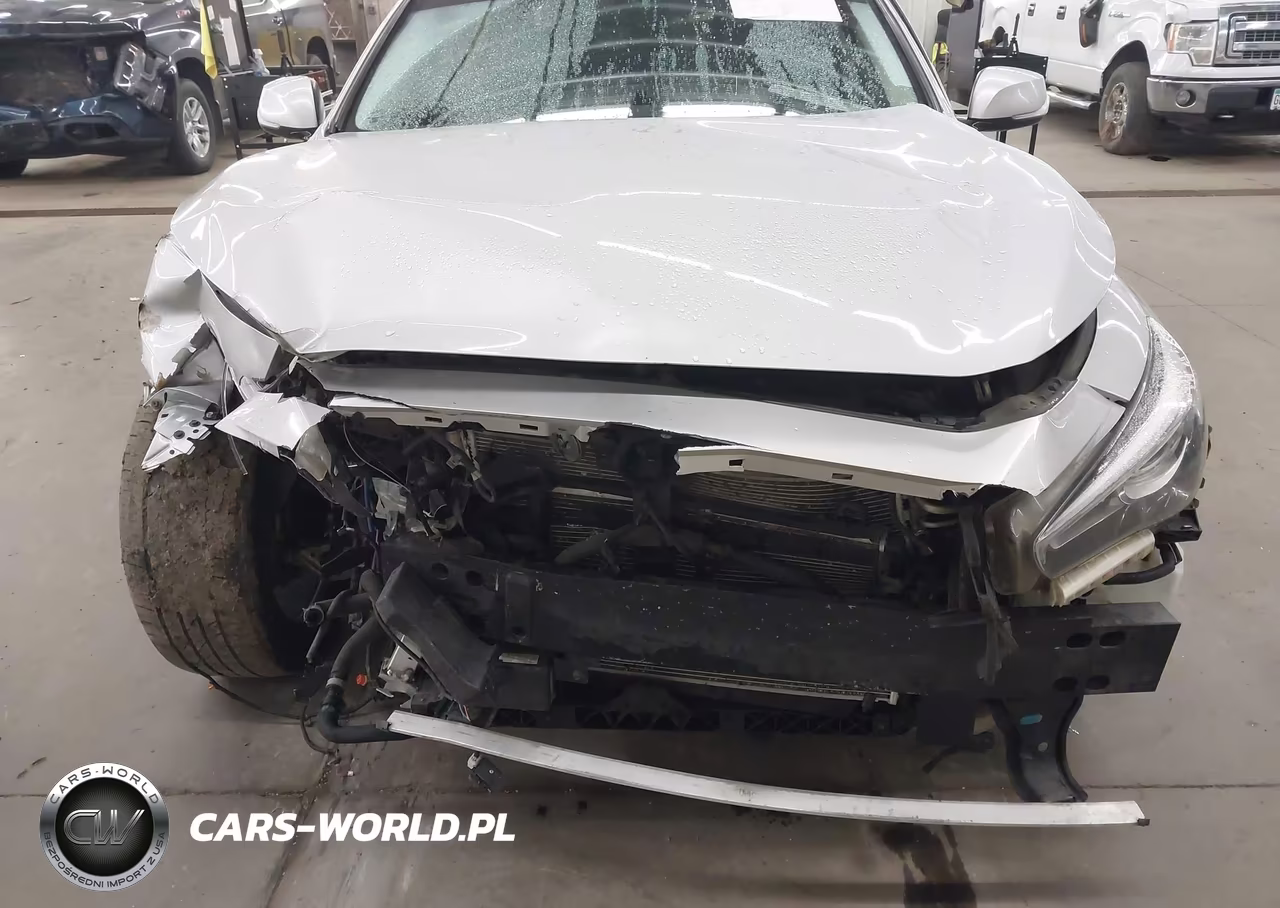 2019 Infiniti Q50 3.0T Luxe VIN:JN1EV7AR8KM554978 - 13