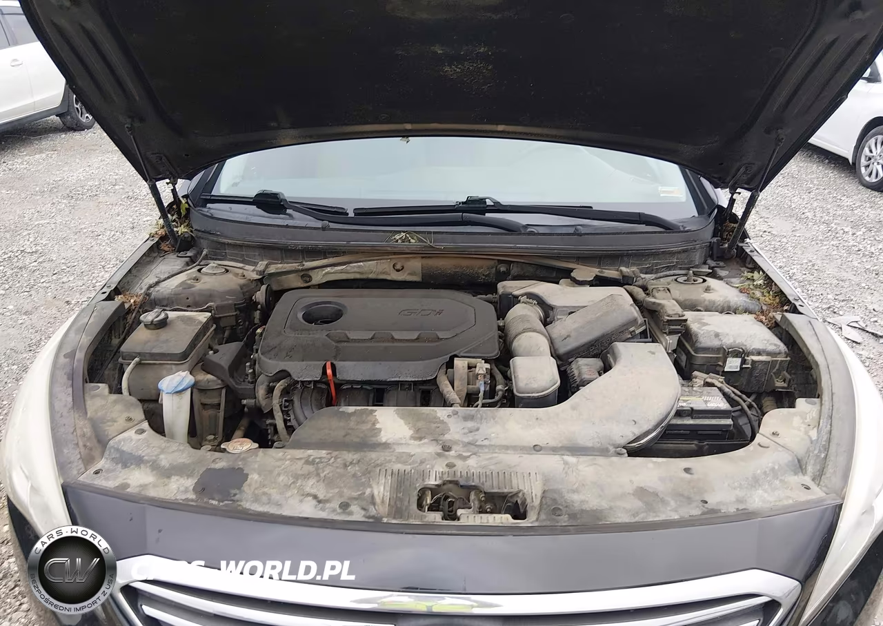 2016 Hyundai Sonata Se VIN:5NPE24AF4GH421131 - 10