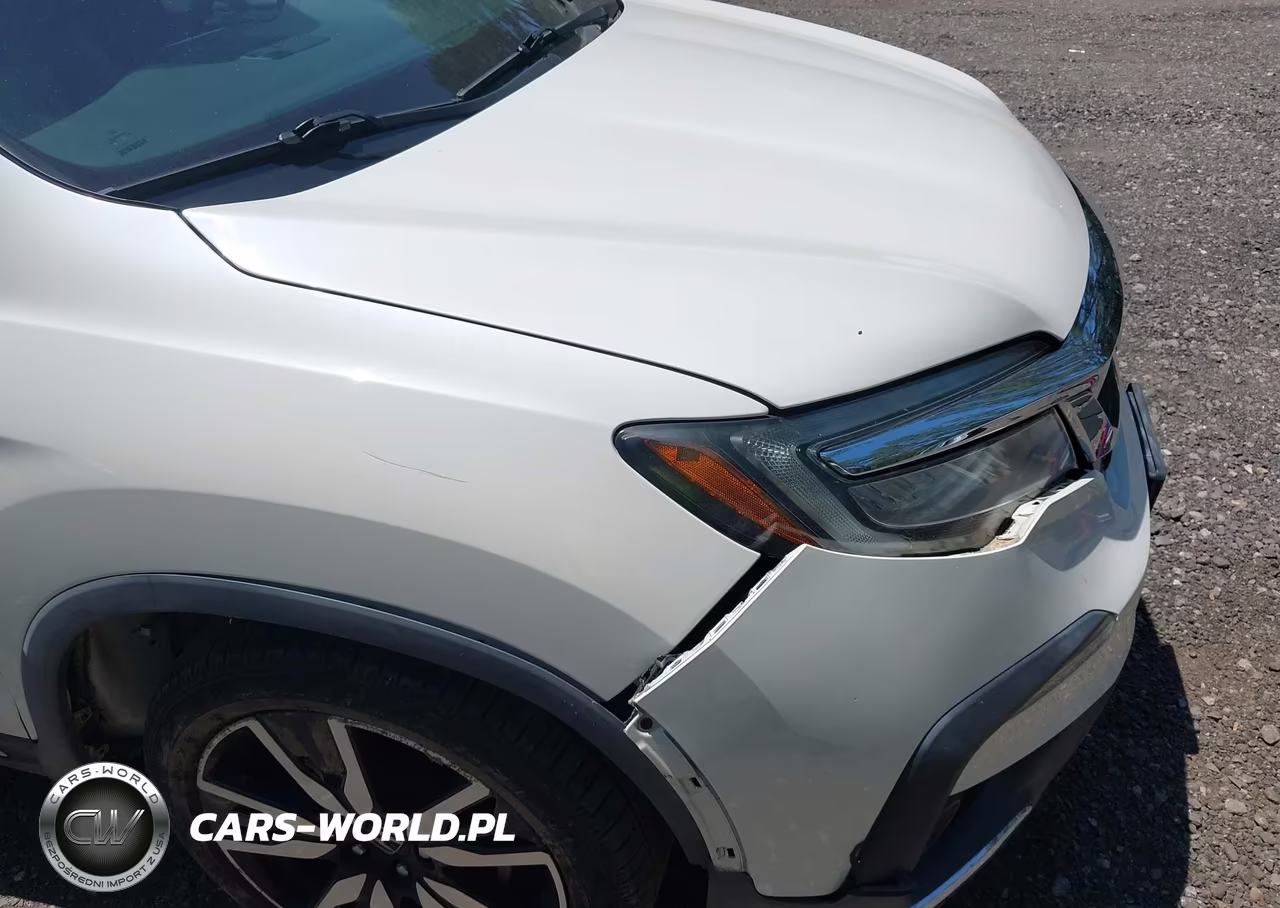 2019 Honda Pilot Elite VIN:5FNYF6H04KB044936 - 6