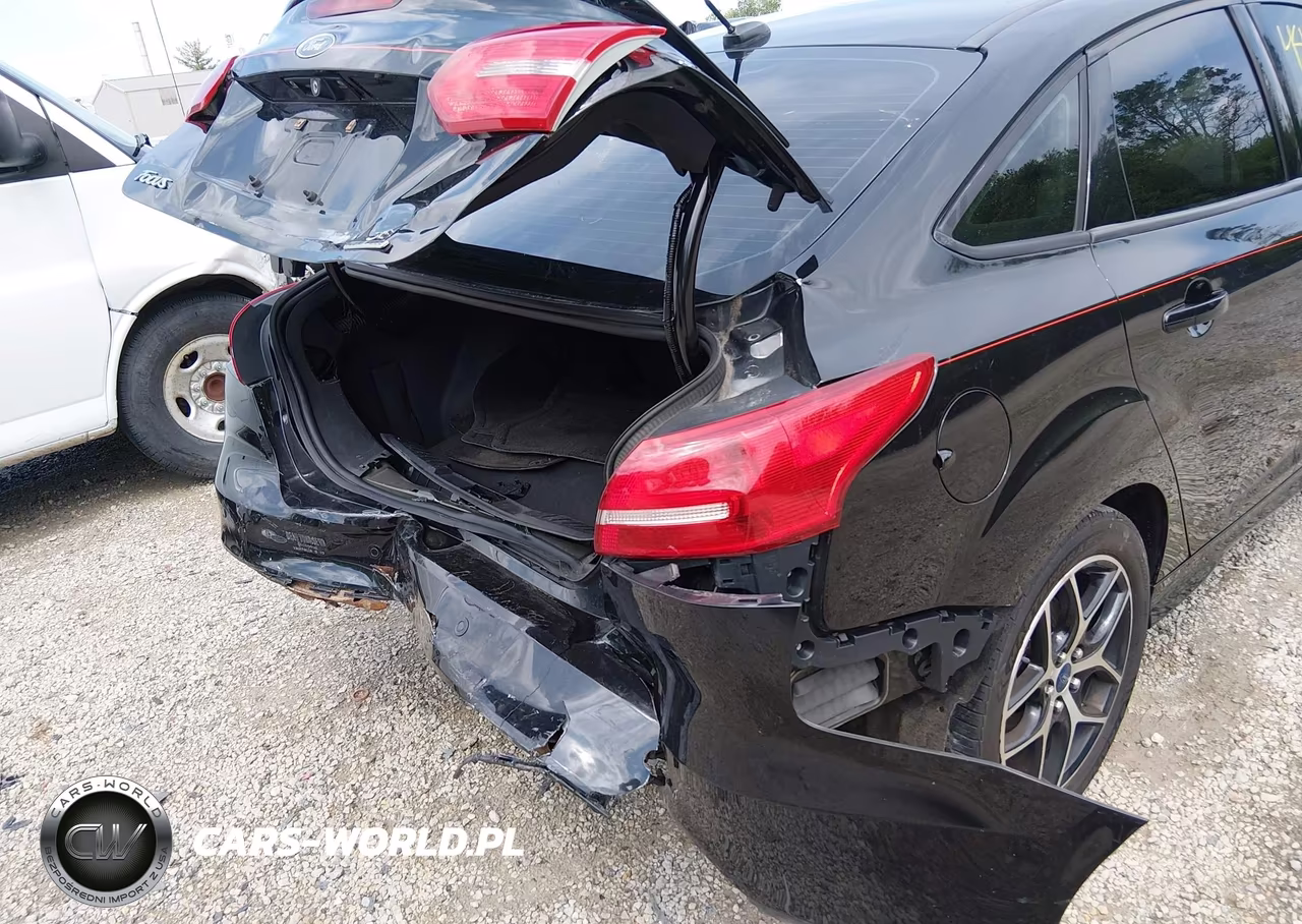 2015 Ford Focus Se VIN:1FADP3F29FL209970 - 17