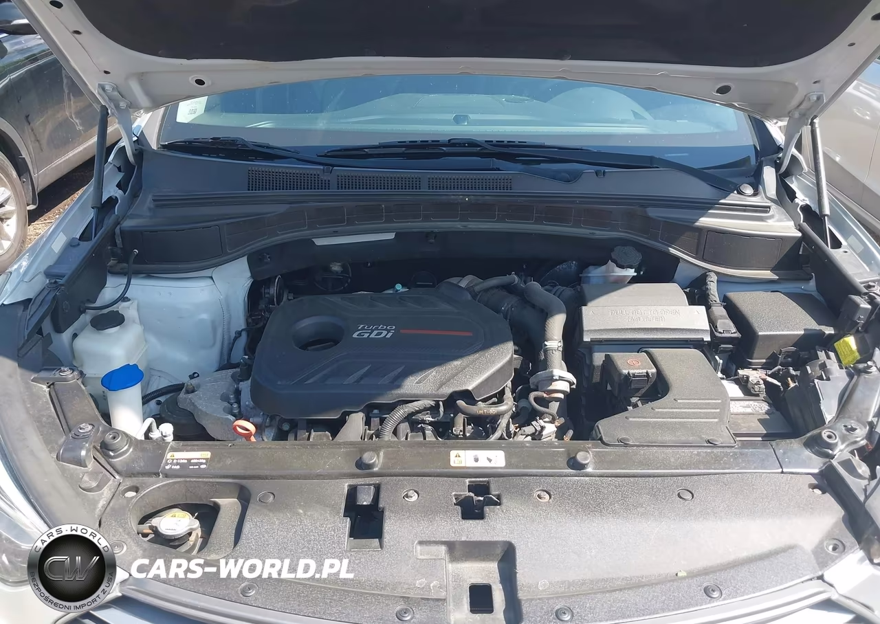 2017 Hyundai Santa Fe Sport 2.0T Ultimate VIN:5XYZWDLA2HG444486 - 10
