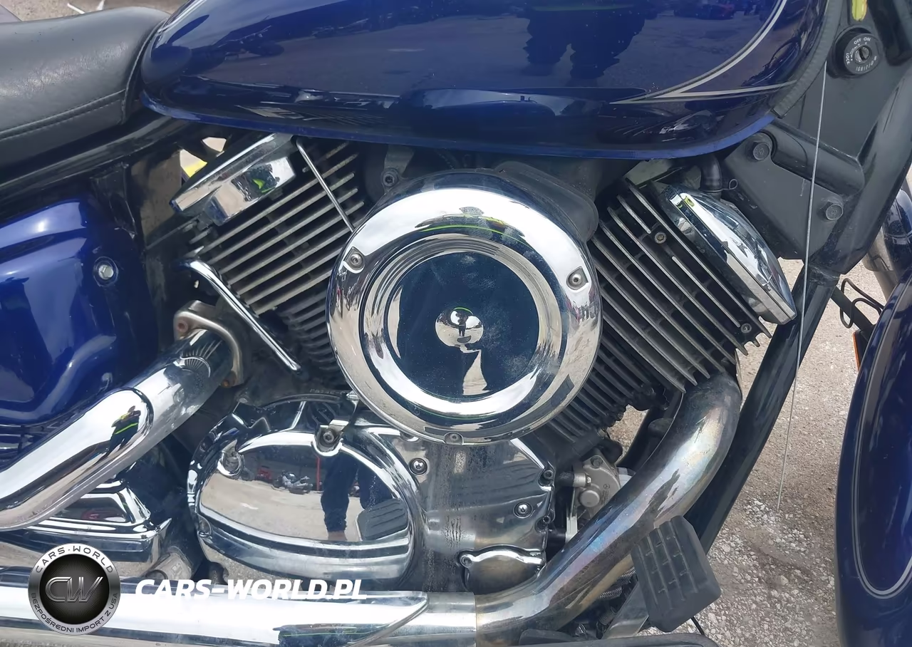 2009 Yamaha Xvs1100 A VIN:JYAVP11E39A114062 - 8