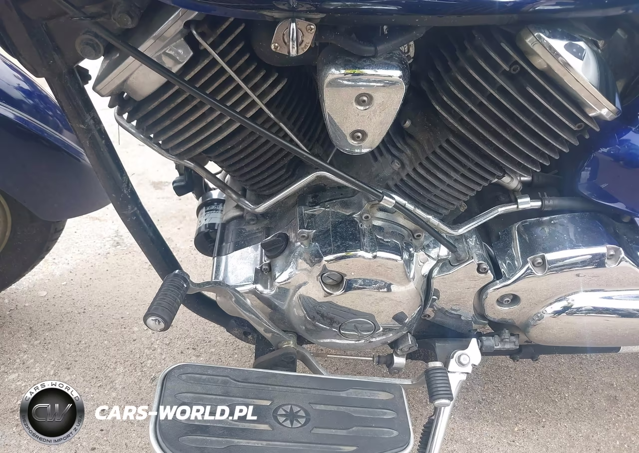 2009 Yamaha Xvs1100 A VIN:JYAVP11E39A114062 - 9