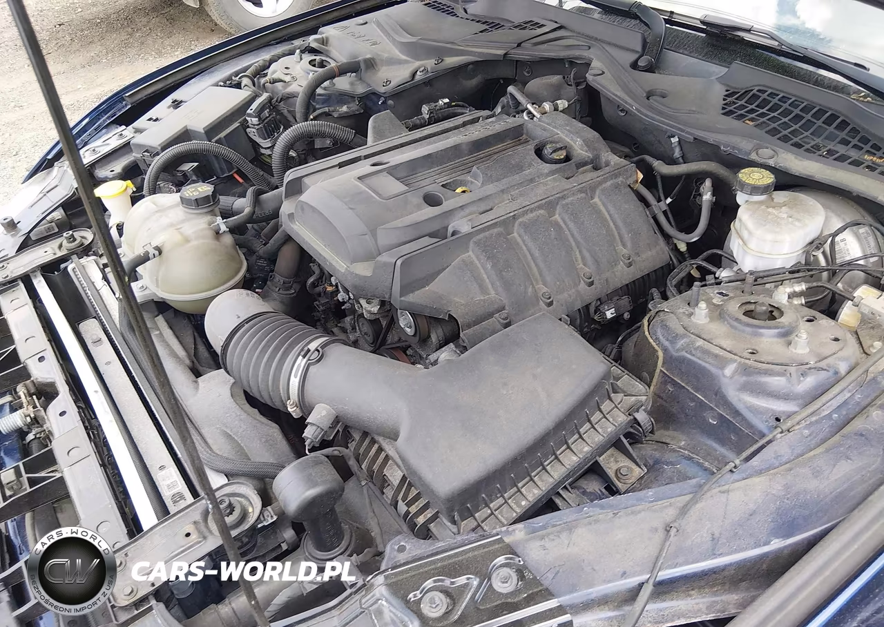 2019 Ford Mustang Ecoboost VIN:1FA6P8TH4K5133331 - 10