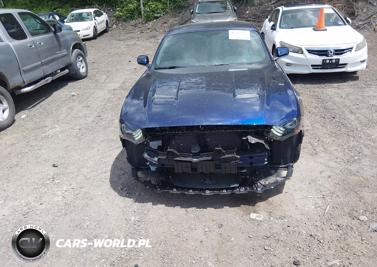 2019 Ford Mustang Ecoboost VIN:1FA6P8TH4K5133331 - 13