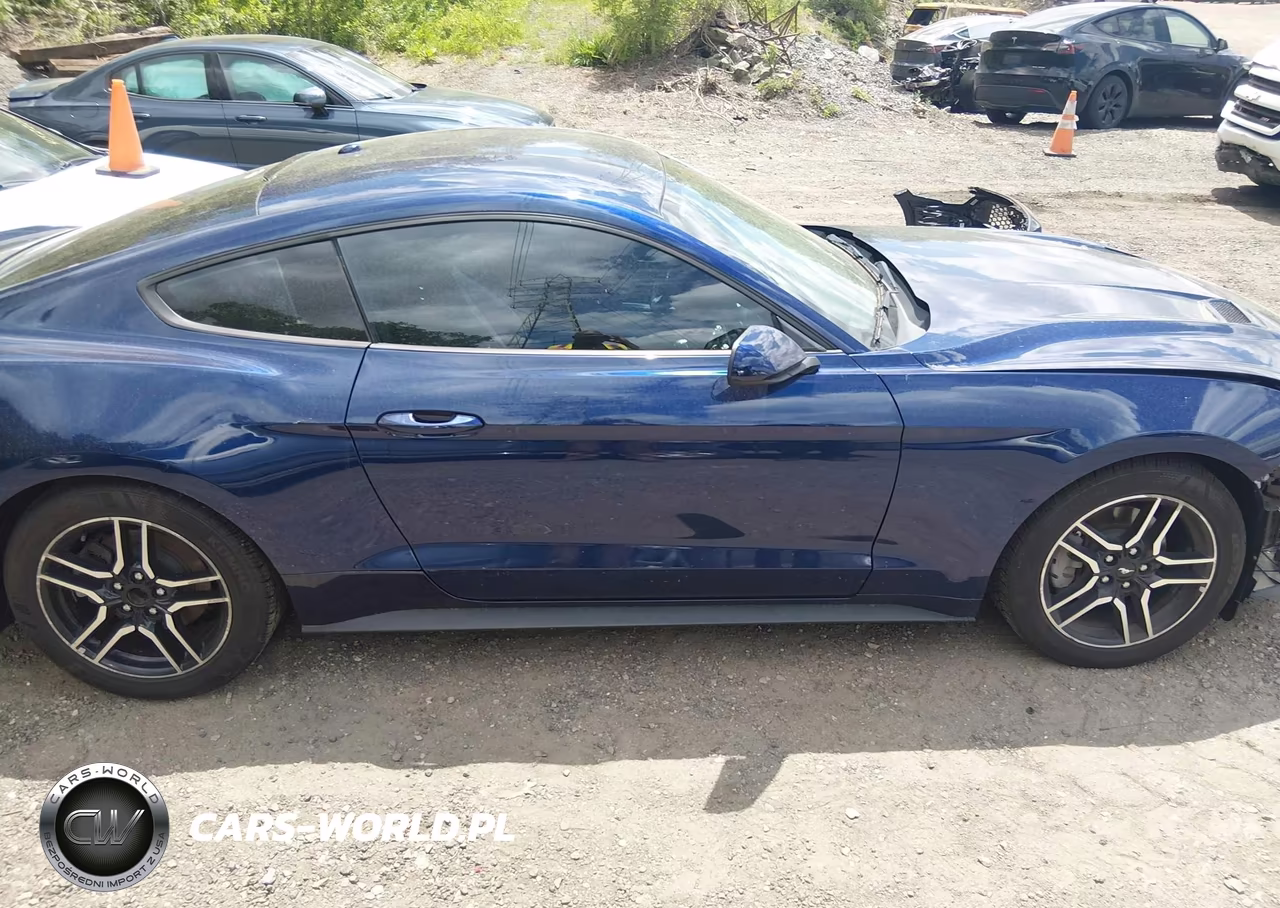 2019 Ford Mustang Ecoboost VIN:1FA6P8TH4K5133331 - 14