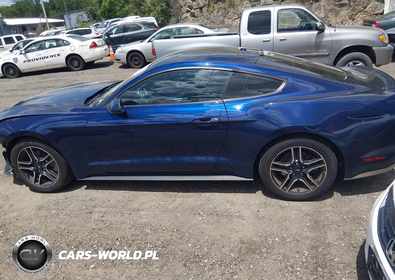 2019 Ford Mustang Ecoboost VIN:1FA6P8TH4K5133331 - 15