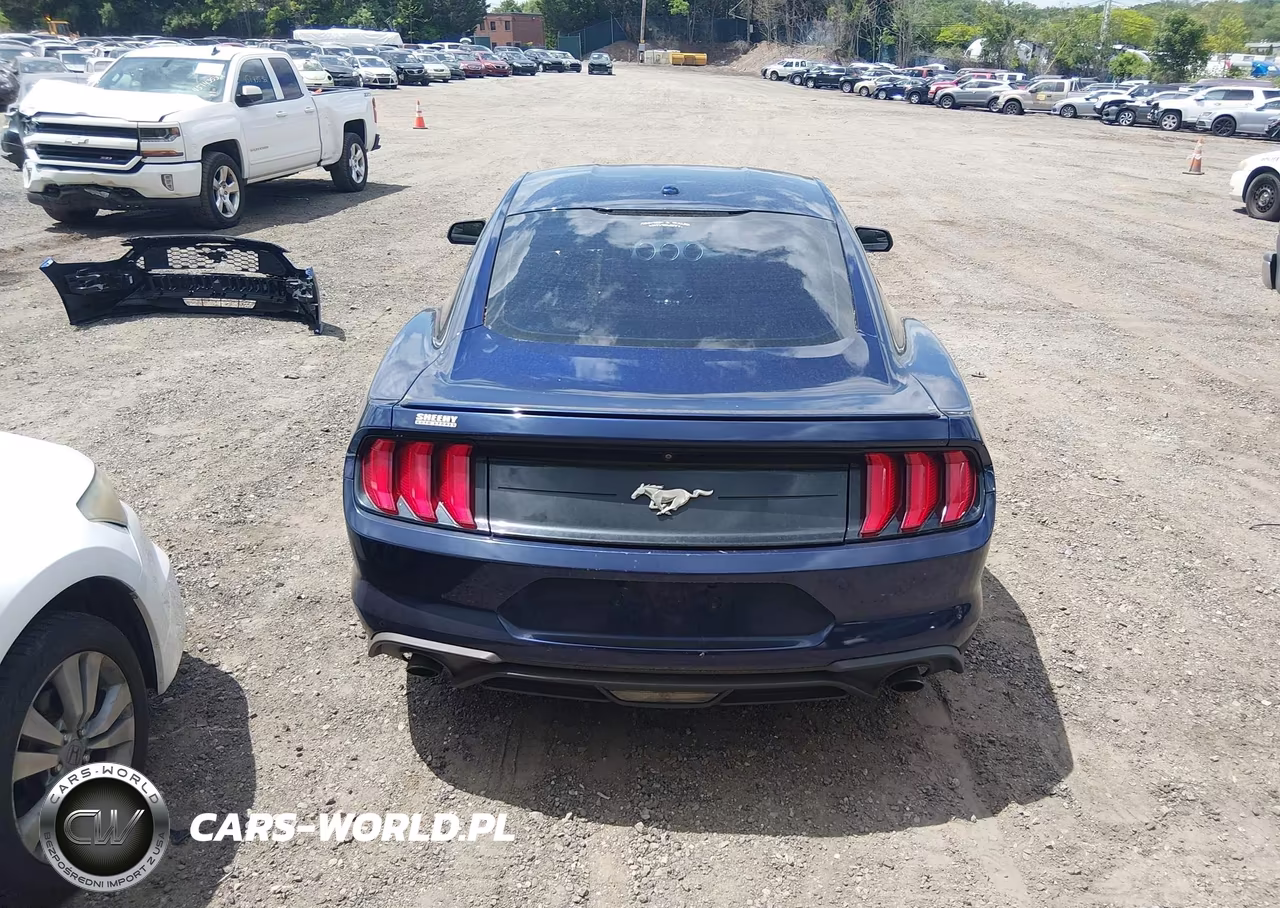 2019 Ford Mustang Ecoboost VIN:1FA6P8TH4K5133331 - 17
